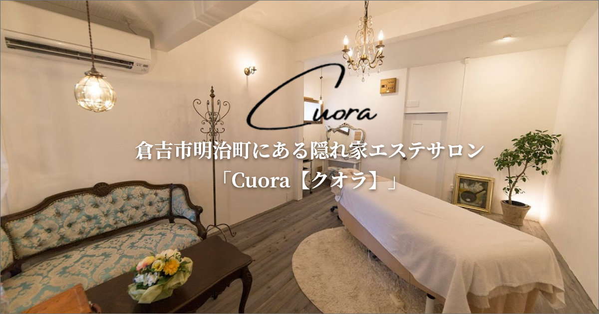 セルクレア(お家エステ) セルケア GFプレミアム 炭酸洗顔フォーム 150ml【店販用】の卸